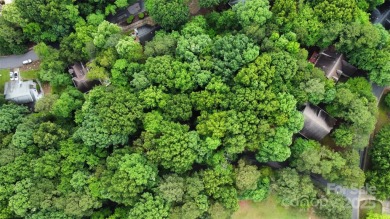 Explore this homesite to create your ideal home with your chosen on Tega Cay Golf Club in South Carolina - for sale on GolfHomes.com, golf home, golf lot