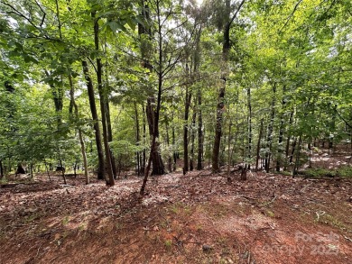 Explore this homesite to create your ideal home with your chosen on Tega Cay Golf Club in South Carolina - for sale on GolfHomes.com, golf home, golf lot