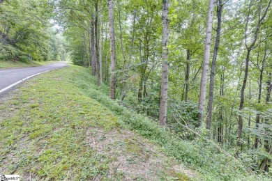 Nestled on just under 3 acres with a beautiful view in the on The Cliffs at Glassy Golf and Country Club in South Carolina - for sale on GolfHomes.com, golf home, golf lot