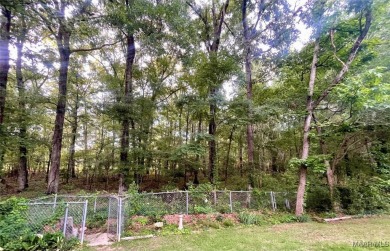 Location, location, location!  Back right up to the Wynlakes on Wynlakes Golf and Country Club in Alabama - for sale on GolfHomes.com, golf home, golf lot
