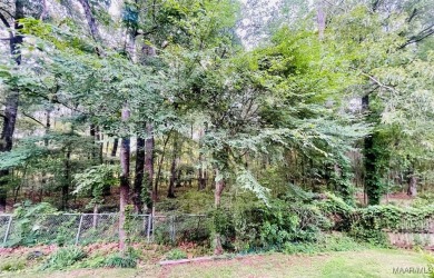 Location, location, location!  Back right up to the Wynlakes on Wynlakes Golf and Country Club in Alabama - for sale on GolfHomes.com, golf home, golf lot