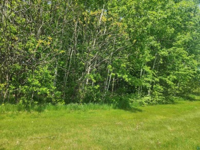 One of the absolute best Lake Superior views at Apostle on Apostle Highlands Golf Course in Wisconsin - for sale on GolfHomes.com, golf home, golf lot