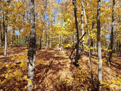 One of the absolute best Lake Superior views at Apostle on Apostle Highlands Golf Course in Wisconsin - for sale on GolfHomes.com, golf home, golf lot