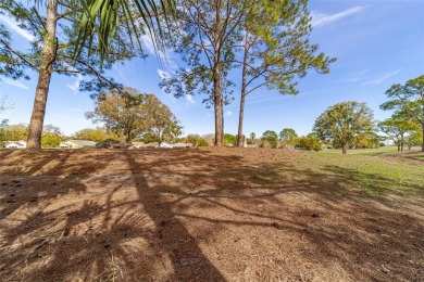 Rare Find - Cartesian Duplex on the Wooded Golf Course! 
Move-in on On Top of the World Golf Course in Florida - for sale on GolfHomes.com, golf home, golf lot