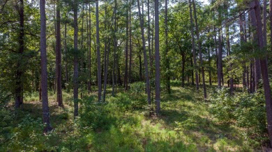 Beautiful home site on a quiet street in Reynolds Lake Oconee on Reynolds Lake Oconee - The Oconee in Georgia - for sale on GolfHomes.com, golf home, golf lot