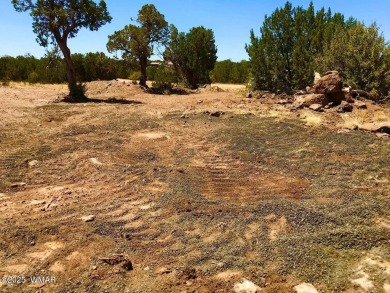 New septic system professionally installed! Are you ready to own on Silver Creek Golf Club in Arizona - for sale on GolfHomes.com, golf home, golf lot