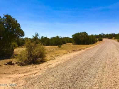 New septic system professionally installed! Are you ready to own on Silver Creek Golf Club in Arizona - for sale on GolfHomes.com, golf home, golf lot