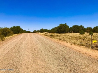 New septic system professionally installed! Are you ready to own on Silver Creek Golf Club in Arizona - for sale on GolfHomes.com, golf home, golf lot