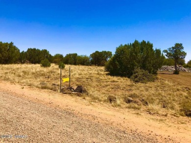 New septic system professionally installed! Are you ready to own on Silver Creek Golf Club in Arizona - for sale on GolfHomes.com, golf home, golf lot