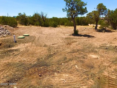New septic system professionally installed! Are you ready to own on Silver Creek Golf Club in Arizona - for sale on GolfHomes.com, golf home, golf lot