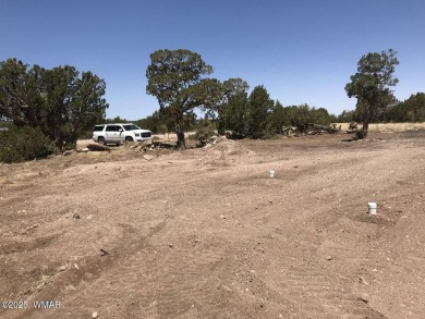 New septic system professionally installed! Are you ready to own on Silver Creek Golf Club in Arizona - for sale on GolfHomes.com, golf home, golf lot