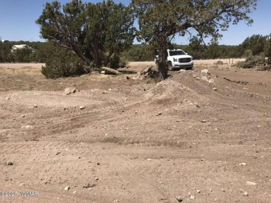 New septic system professionally installed! Are you ready to own on Silver Creek Golf Club in Arizona - for sale on GolfHomes.com, golf home, golf lot