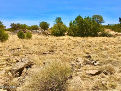 New septic system professionally installed! Are you ready to own on Silver Creek Golf Club in Arizona - for sale on GolfHomes.com, golf home, golf lot