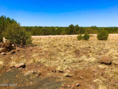 New septic system professionally installed! Are you ready to own on Silver Creek Golf Club in Arizona - for sale on GolfHomes.com, golf home, golf lot