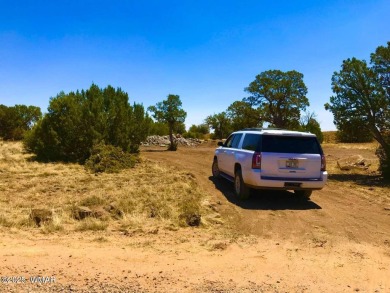 New septic system professionally installed! Are you ready to own on Silver Creek Golf Club in Arizona - for sale on GolfHomes.com, golf home, golf lot