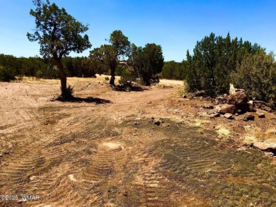 New septic system professionally installed! Are you ready to own on Silver Creek Golf Club in Arizona - for sale on GolfHomes.com, golf home, golf lot