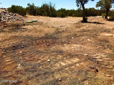 New septic system professionally installed! Are you ready to own on Silver Creek Golf Club in Arizona - for sale on GolfHomes.com, golf home, golf lot
