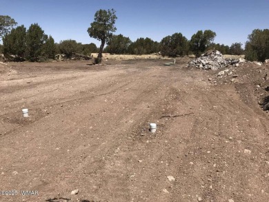New septic system professionally installed! Are you ready to own on Silver Creek Golf Club in Arizona - for sale on GolfHomes.com, golf home, golf lot