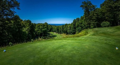 Nestled on a serene, wooded lot and backing up to protected on Birchwood Farms Golf and Country Club in Michigan - for sale on GolfHomes.com, golf home, golf lot