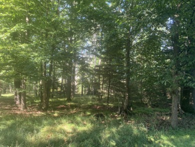 You'll enjoy the quality, 6' walls and workmanship of the lovely on Lost Lake Woods Club in Michigan - for sale on GolfHomes.com, golf home, golf lot