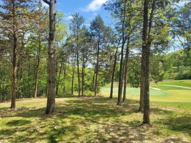 ''Premiere'' golf course bordering lot cleared for panoramic on Payne Stewart Golf Club of Branson Hills - Front in Missouri - for sale on GolfHomes.com, golf home, golf lot