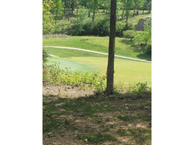 ''Premiere'' golf course bordering lot cleared for panoramic on Payne Stewart Golf Club of Branson Hills - Front in Missouri - for sale on GolfHomes.com, golf home, golf lot