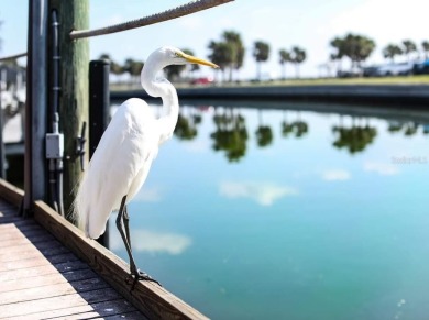 Great opportunity to buy and build or invest and wait. Location on Port Charlotte Golf Club in Florida - for sale on GolfHomes.com, golf home, golf lot
