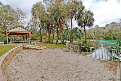 Come Discover the Gem of Rainbow Springs!  Beautifully on Rainbow Springs Golf and Country Club in Florida - for sale on GolfHomes.com, golf home, golf lot