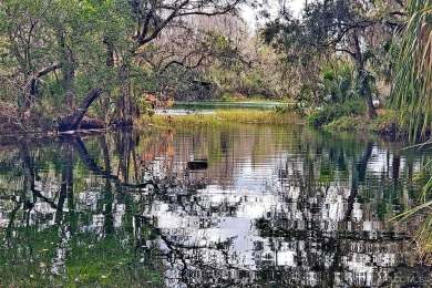 Come Discover the Gem of Rainbow Springs!  Beautifully on Rainbow Springs Golf and Country Club in Florida - for sale on GolfHomes.com, golf home, golf lot