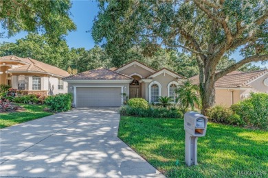 HUGE PRICE REDUCTION!  Welcome to this stylish 2 Bedroom plus on Skyview At Terra Vista Golf and Country Club in Florida - for sale on GolfHomes.com, golf home, golf lot