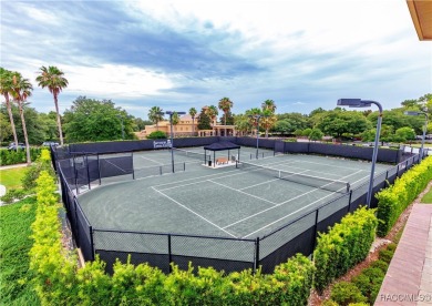 HUGE PRICE REDUCTION!  Welcome to this stylish 2 Bedroom plus on Skyview At Terra Vista Golf and Country Club in Florida - for sale on GolfHomes.com, golf home, golf lot