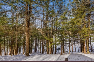 Step inside to one of the absolute best lake views Indian Lake on Indian Lake Golf Club in Pennsylvania - for sale on GolfHomes.com, golf home, golf lot