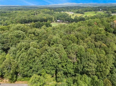 Build Your Dream Home on a Beautiful, 2-Acre Lot Backed by the on Hawks Ridge Golf Club in Georgia - for sale on GolfHomes.com, golf home, golf lot