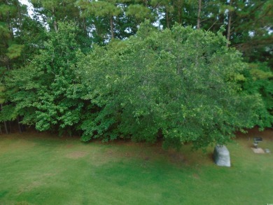 Lovely 2 BR, 2 Bath villa and very nicely furnished.  LVT on True Blue Plantation in South Carolina - for sale on GolfHomes.com, golf home, golf lot
