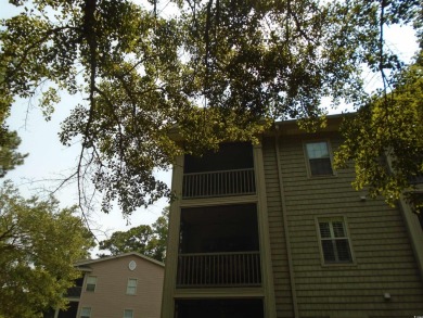 Lovely 2 BR, 2 Bath villa and very nicely furnished.  LVT on True Blue Plantation in South Carolina - for sale on GolfHomes.com, golf home, golf lot