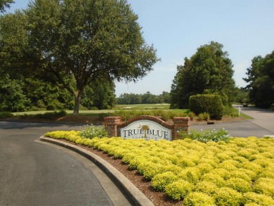 Lovely 2 BR, 2 Bath villa and very nicely furnished.  LVT on True Blue Plantation in South Carolina - for sale on GolfHomes.com, golf home, golf lot