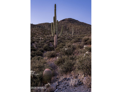 Continental Mountain is the backyard for this extraordinary on Desert Mountain Golf Club - Renegade Course in Arizona - for sale on GolfHomes.com, golf home, golf lot
