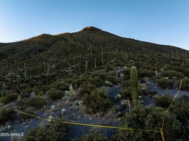 Continental Mountain is the backyard for this extraordinary on Desert Mountain Golf Club - Renegade Course in Arizona - for sale on GolfHomes.com, golf home, golf lot
