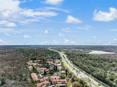 Immaculate Condo in the Heart of East Lake. Nature Views on Tarpon Woods Golf Club in Florida - for sale on GolfHomes.com, golf home, golf lot