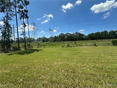 Discover this stunning, brand-new home in Citrus Springs on Citrus Springs Country Club in Florida - for sale on GolfHomes.com, golf home, golf lot