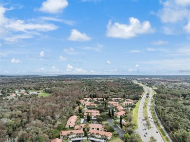 Immaculate Condo in the Heart of East Lake. Nature Views on Tarpon Woods Golf Club in Florida - for sale on GolfHomes.com, golf home, golf lot