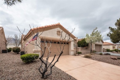 You've found it.  Charming southwestern, 2 bedrooms, 2 bath, 2 on Eagle Crest Golf Club in Nevada - for sale on GolfHomes.com, golf home, golf lot