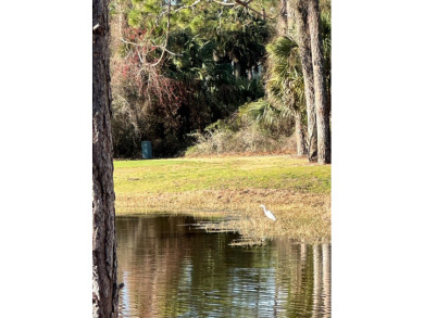 Build your home on this beautiful golf course lot at St James on St. James Bay in Florida - for sale on GolfHomes.com, golf home, golf lot