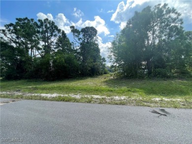 Welcome to Cape Coral FL! Discover the perfect canvas for your on Burnt Store Golf Club in Florida - for sale on GolfHomes.com, golf home, golf lot