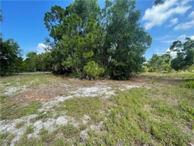 Welcome to Cape Coral FL! Discover the perfect canvas for your on Burnt Store Golf Club in Florida - for sale on GolfHomes.com, golf home, golf lot