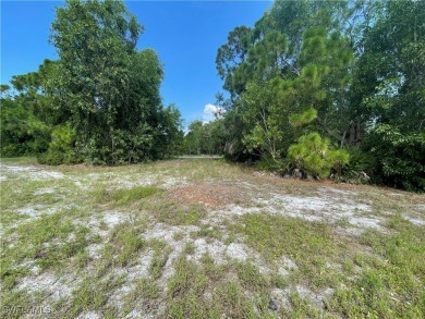 Welcome to Cape Coral FL! Discover the perfect canvas for your on Burnt Store Golf Club in Florida - for sale on GolfHomes.com, golf home, golf lot