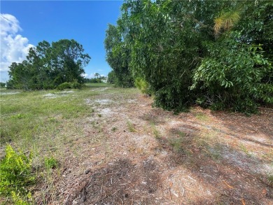 Welcome to Cape Coral FL! Discover the perfect canvas for your on Burnt Store Golf Club in Florida - for sale on GolfHomes.com, golf home, golf lot