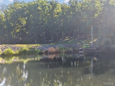 Welcome to 1746 Sonnenblick Drive -- a stunning chalet retreat on Innsbrook Resort Golf Course in Missouri - for sale on GolfHomes.com, golf home, golf lot