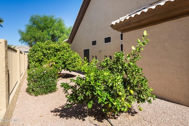 RARE FIND! 3 BR, 3 full BA home w/ office & sparkling pool on on Corte Bella Golf Club in Arizona - for sale on GolfHomes.com, golf home, golf lot