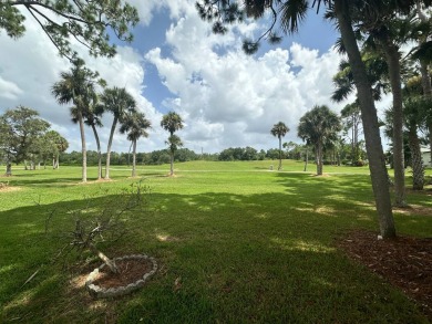This well loved 2 bedroom, 2 bathroom Palm Harbor home is being on Del Tura Golf and Country Club in Florida - for sale on GolfHomes.com, golf home, golf lot
